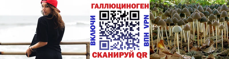 Псилоцибиновые грибы MAGIC MUSHROOMS  Купить закладки  Соль-Илецк 