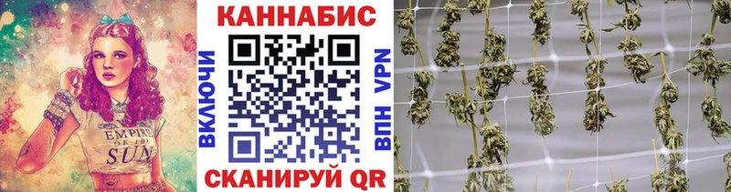 Бошки марихуана сатива  Купить где  Соль-Илецк 